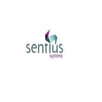 Sentius Systems - Drupal Web Designers Melbourne image 1